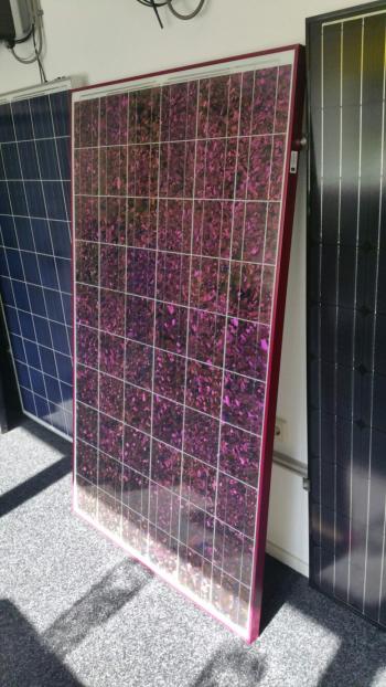 Gekleurde Bisol zonnepanelen Gekleurde Bisol zonnepanelen